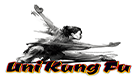 Wing Chun Shaolin Online